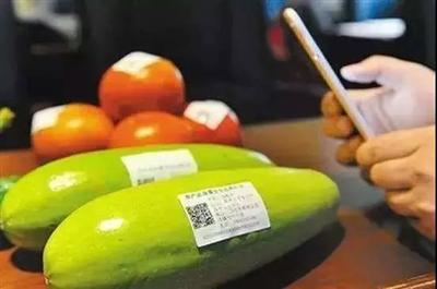 時代觀察 | 兆信股份攜手企業將大數據應用于食品追溯 食品互聯網銷售